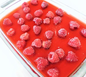 Berry Jello Dessert Raspberries