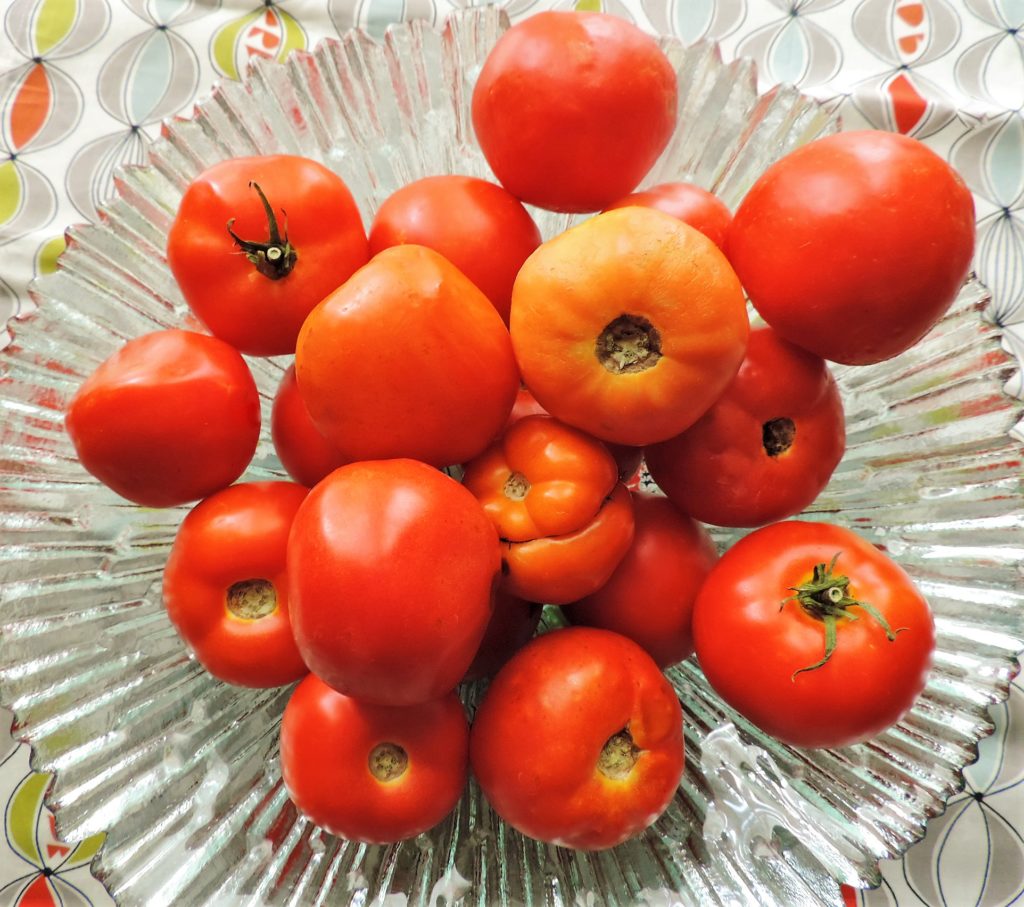 Fresh Summer Tomatoes
