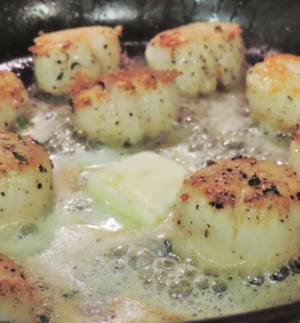 Searing Scallops with Butter