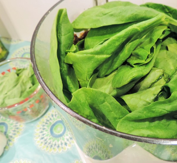 Spinach in Food Processor