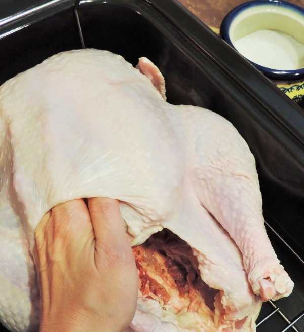 Loosening Turkey Skin